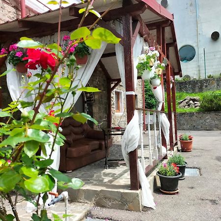 Casa Olguta Apartman Sinaia Kültér fotó