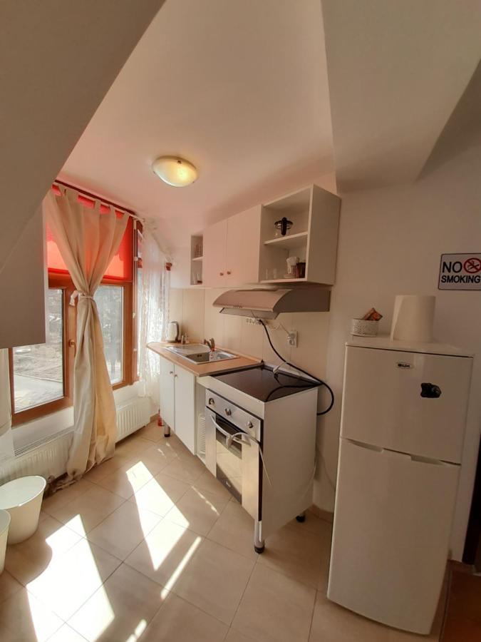 Casa Olguta Apartman Sinaia Kültér fotó