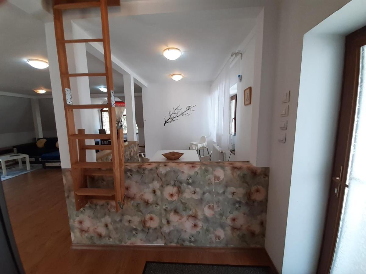 Casa Olguta Apartman Sinaia Kültér fotó