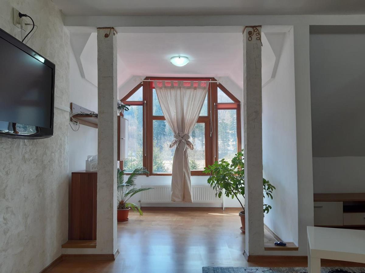 Casa Olguta Apartman Sinaia Kültér fotó