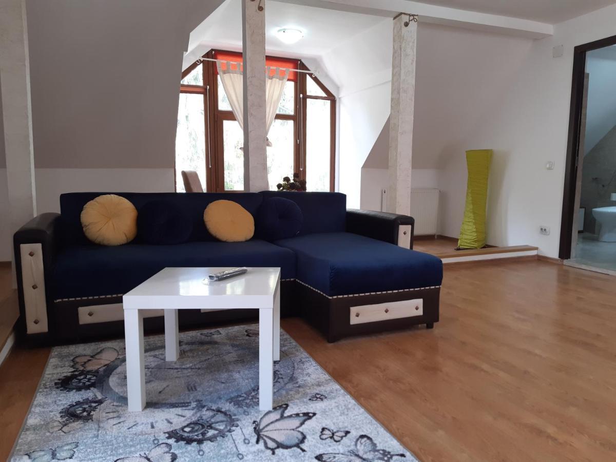 Casa Olguta Apartman Sinaia Kültér fotó