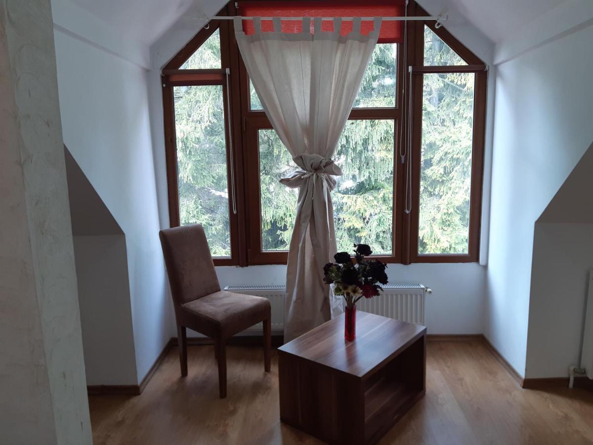 Casa Olguta Apartman Sinaia Kültér fotó