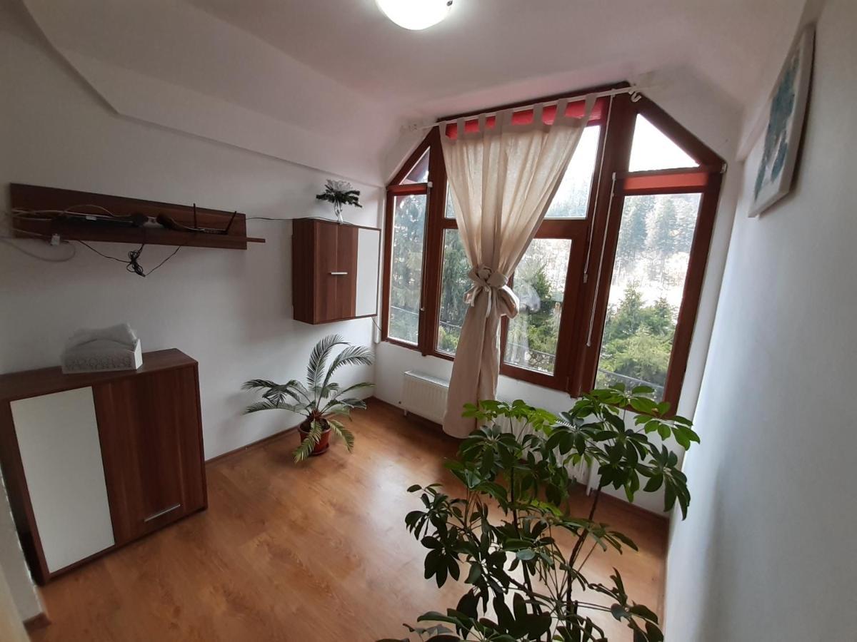 Casa Olguta Apartman Sinaia Kültér fotó