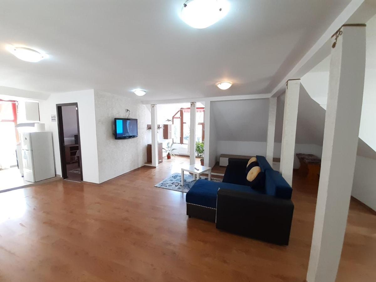 Casa Olguta Apartman Sinaia Kültér fotó