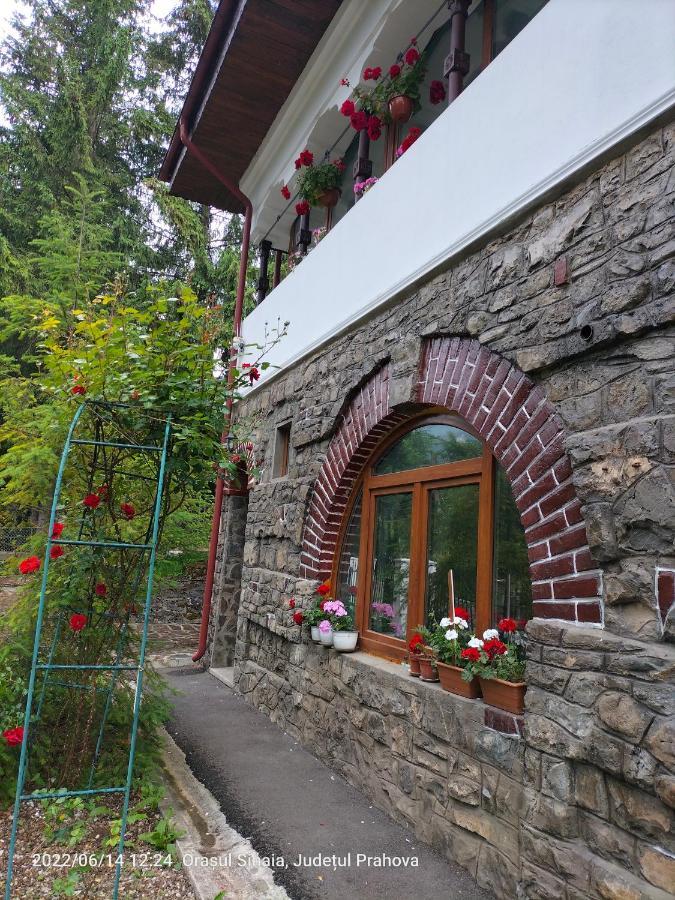 Casa Olguta Apartman Sinaia Kültér fotó