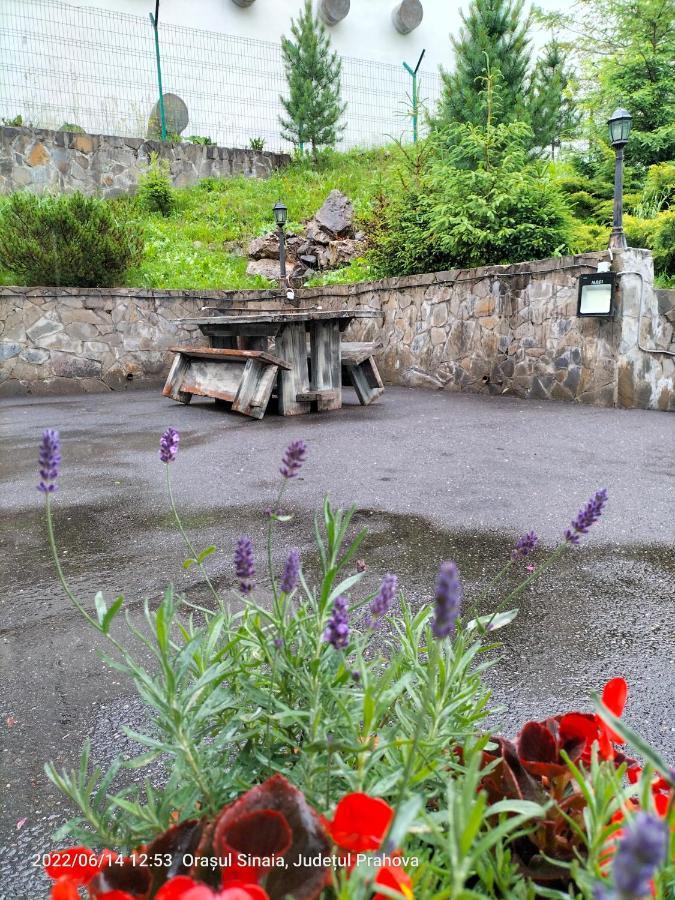 Casa Olguta Apartman Sinaia Kültér fotó