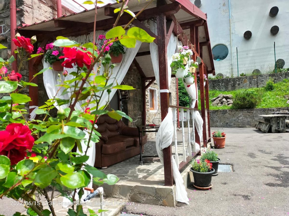 Casa Olguta Apartman Sinaia Kültér fotó