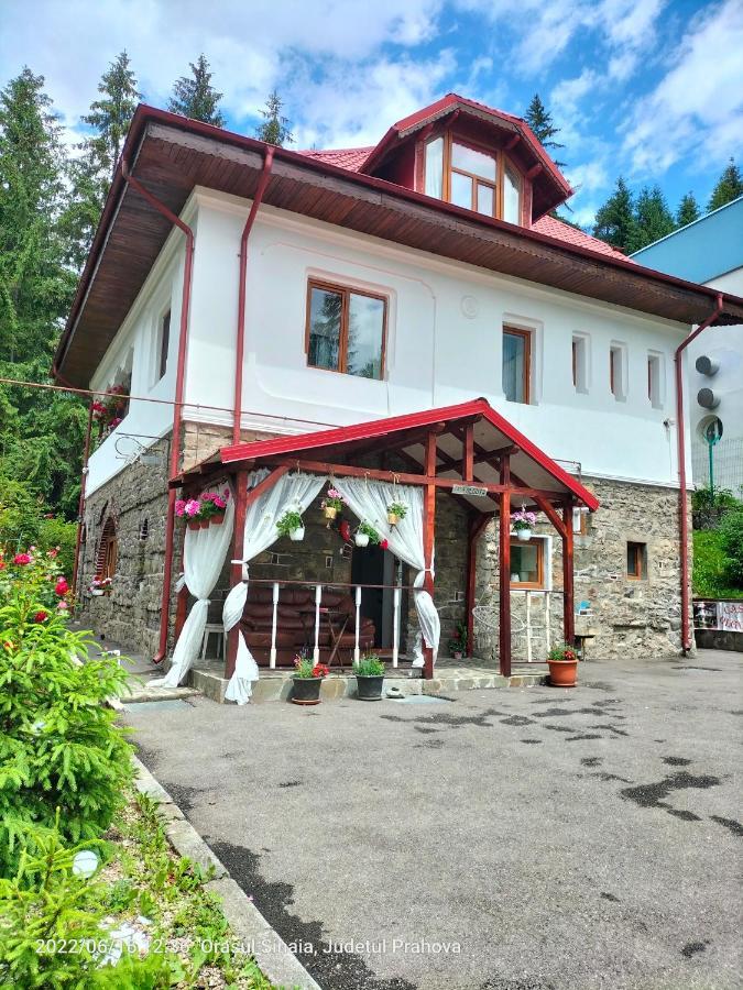 Casa Olguta Apartman Sinaia Kültér fotó
