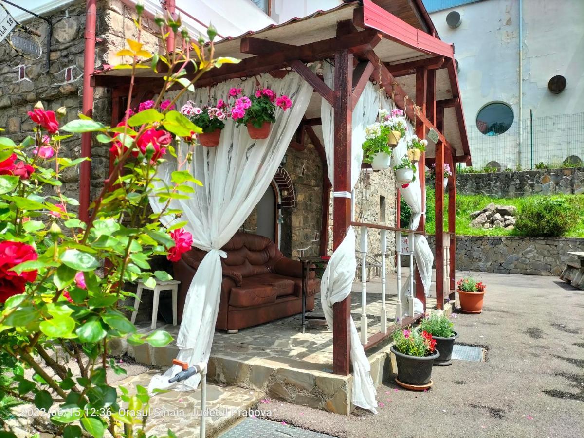 Casa Olguta Apartman Sinaia Kültér fotó