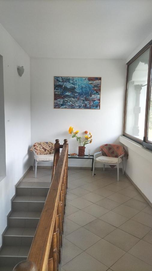 Casa Olguta Apartman Sinaia Kültér fotó