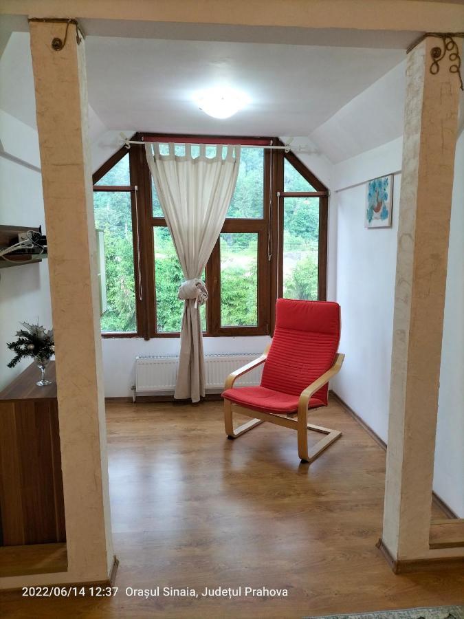 Casa Olguta Apartman Sinaia Kültér fotó