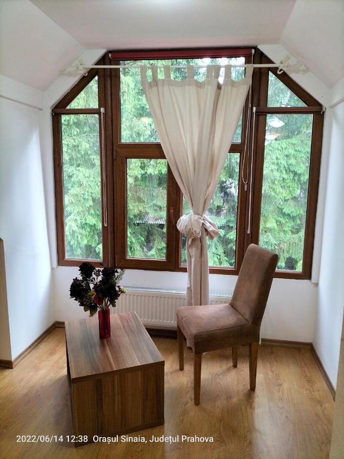 Casa Olguta Apartman Sinaia Kültér fotó