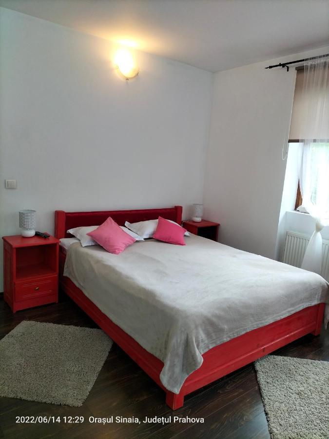 Casa Olguta Apartman Sinaia Kültér fotó