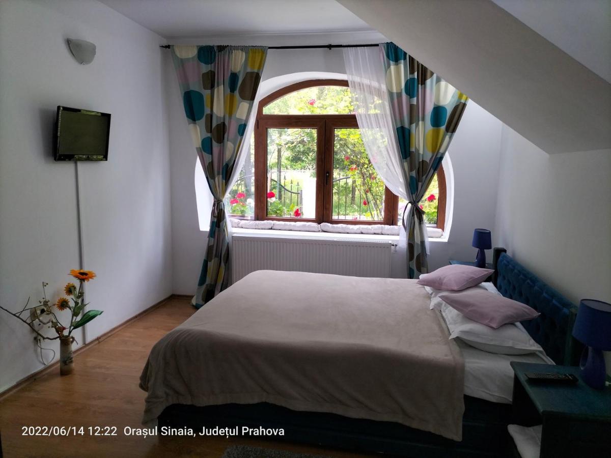 Casa Olguta Apartman Sinaia Kültér fotó