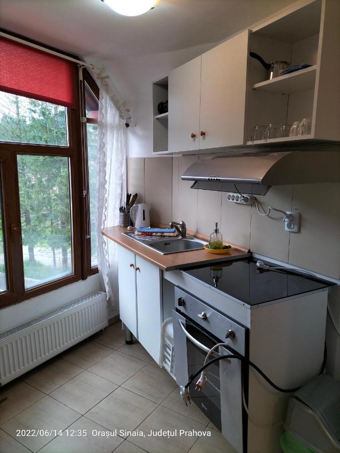 Casa Olguta Apartman Sinaia Kültér fotó