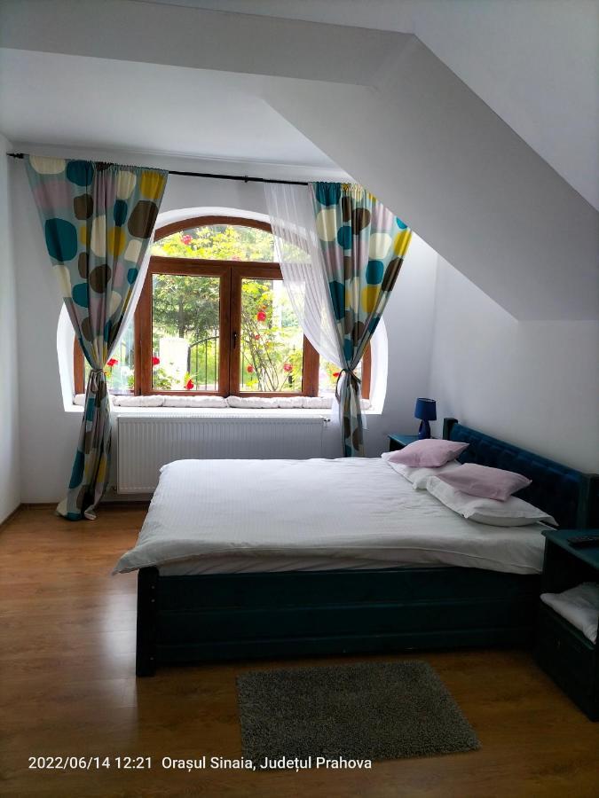 Casa Olguta Apartman Sinaia Kültér fotó