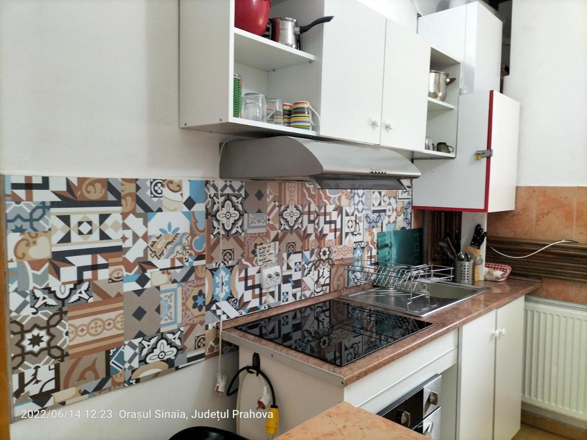 Casa Olguta Apartman Sinaia Kültér fotó