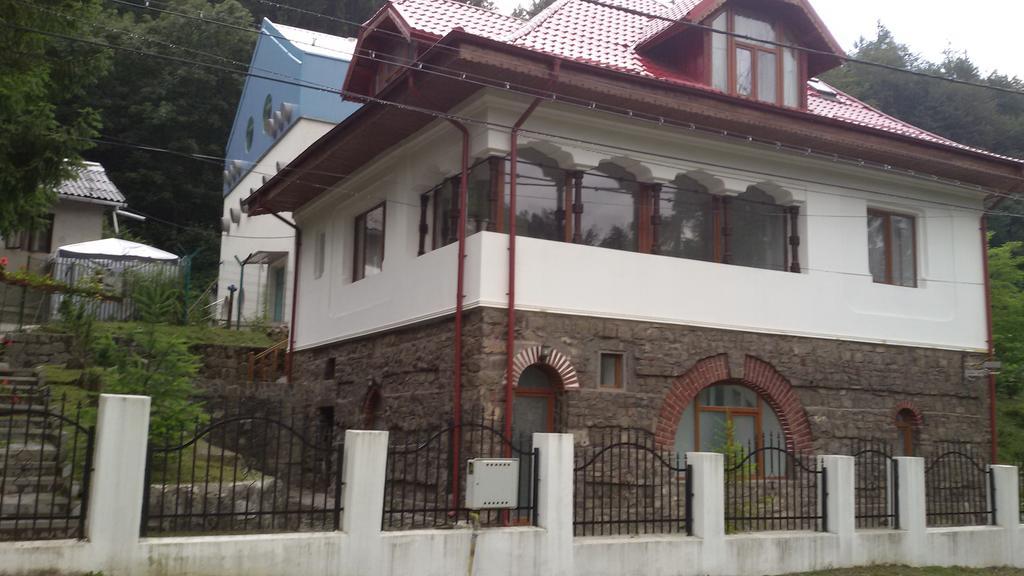 Casa Olguta Apartman Sinaia Kültér fotó
