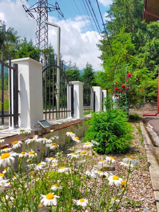 Casa Olguta Apartman Sinaia Kültér fotó
