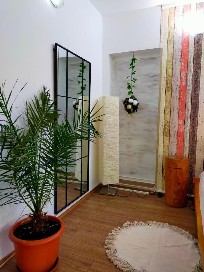 Casa Olguta Apartman Sinaia Kültér fotó