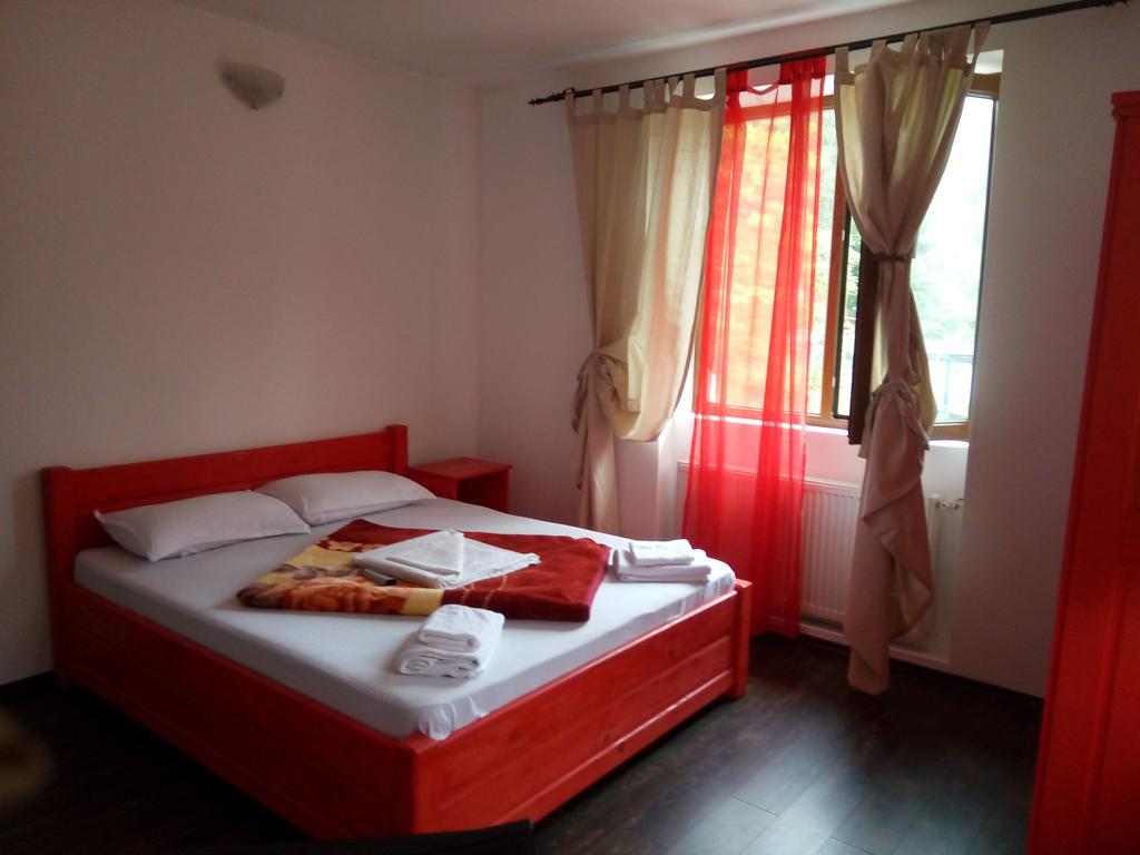 Casa Olguta Apartman Sinaia Kültér fotó