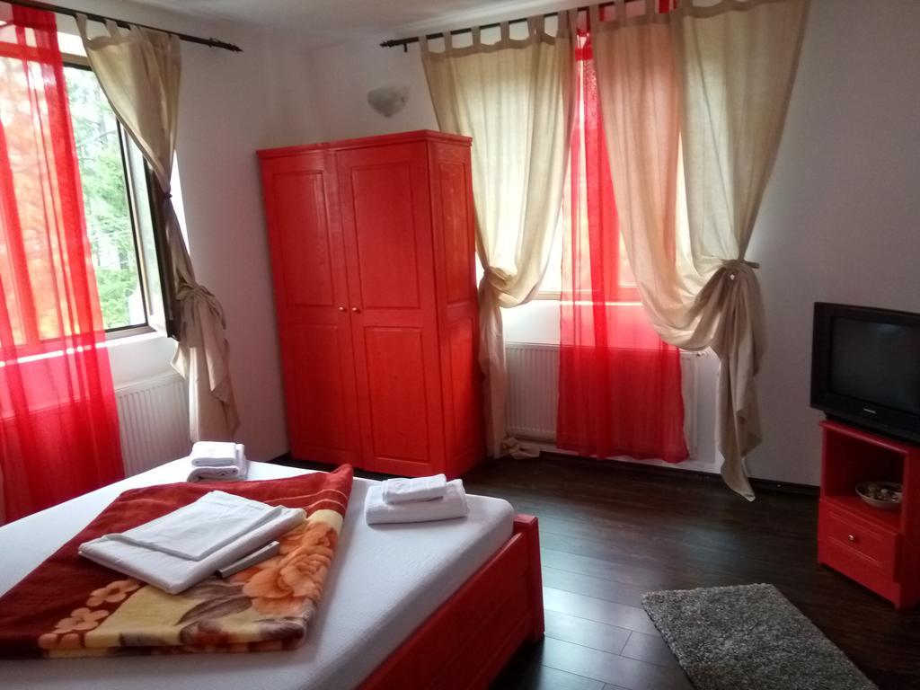 Casa Olguta Apartman Sinaia Kültér fotó