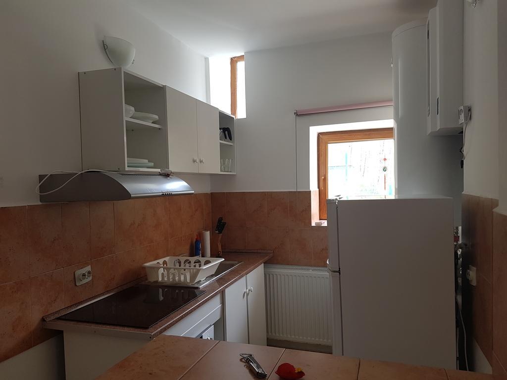 Casa Olguta Apartman Sinaia Kültér fotó
