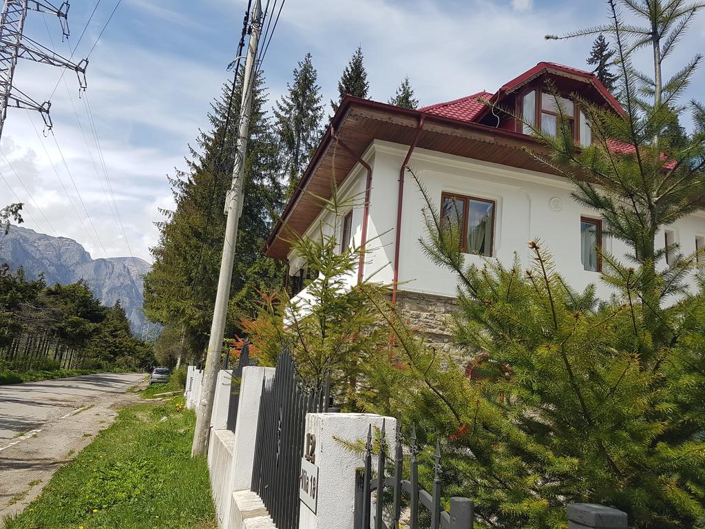 Casa Olguta Apartman Sinaia Kültér fotó