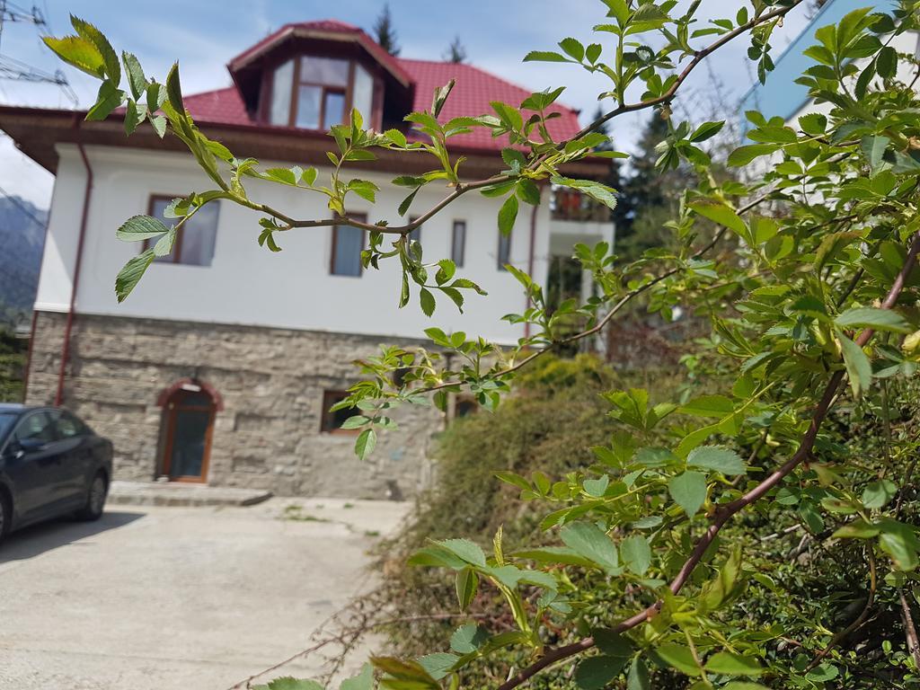 Casa Olguta Apartman Sinaia Kültér fotó