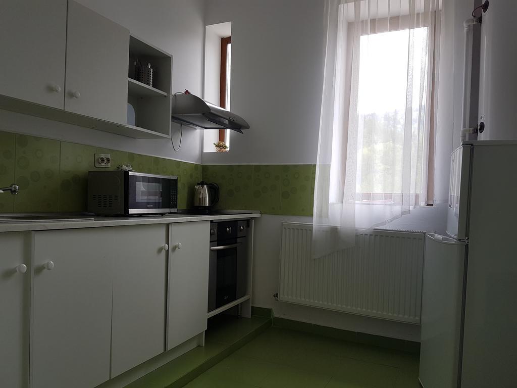 Casa Olguta Apartman Sinaia Kültér fotó