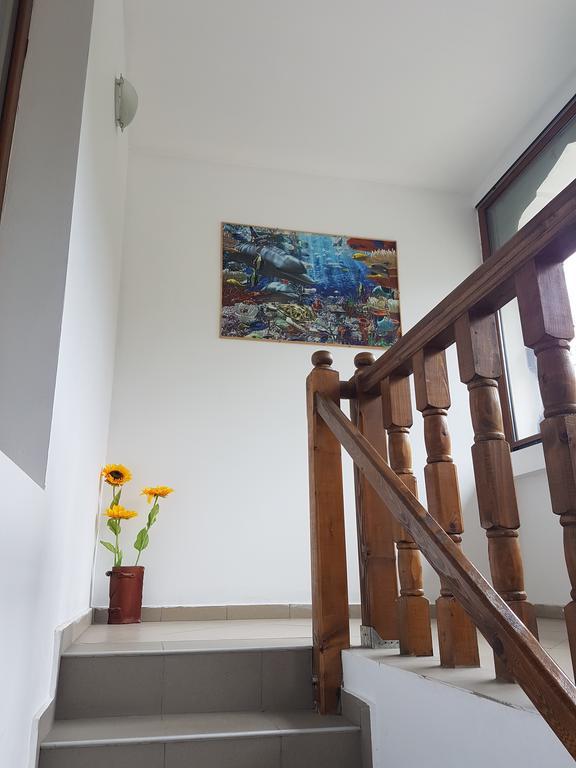 Casa Olguta Apartman Sinaia Kültér fotó