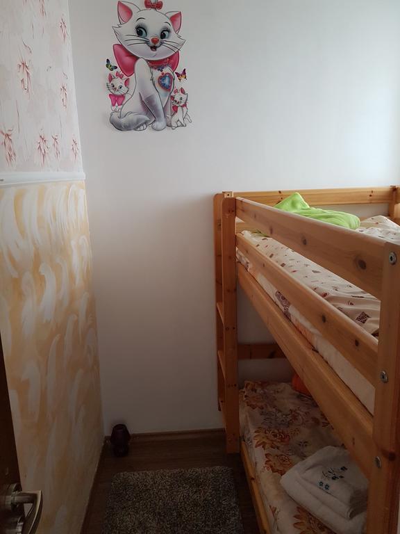 Casa Olguta Apartman Sinaia Kültér fotó