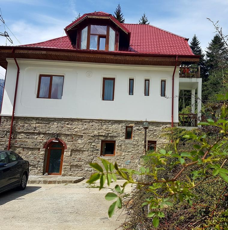 Casa Olguta Apartman Sinaia Kültér fotó