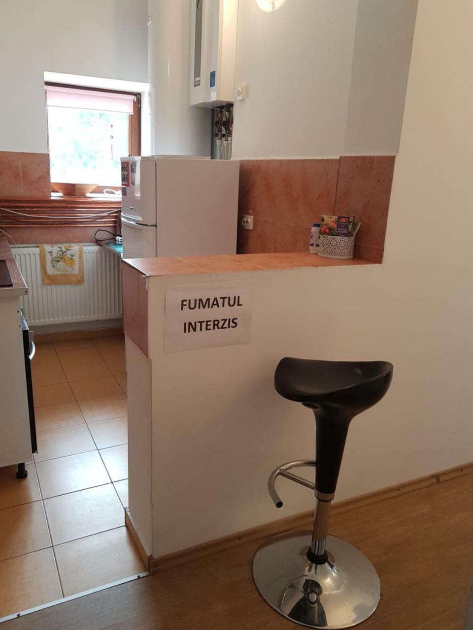 Casa Olguta Apartman Sinaia Kültér fotó